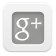 Google Plus
